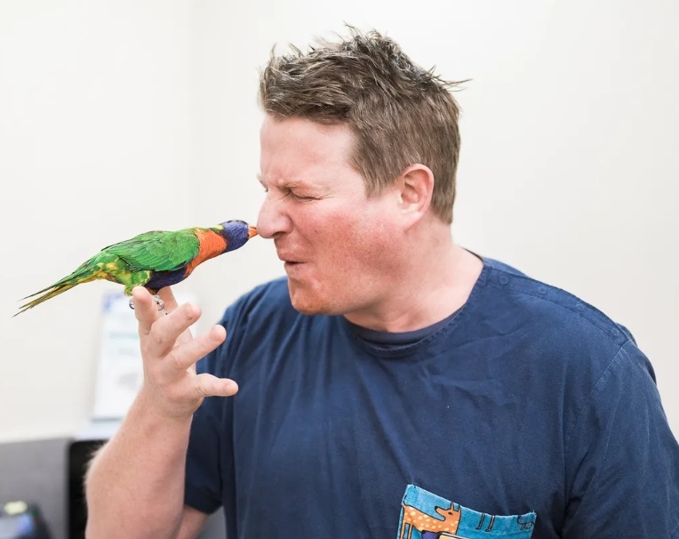 Will Hume BVSc, founder of VetStuff